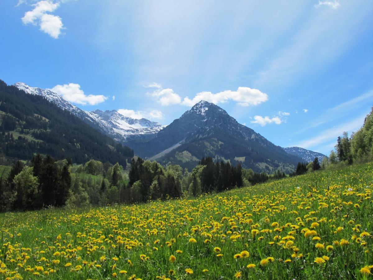 Hornblick Fewo- Ab Mai Freie Fahrt Mit Bergbahnen Oberstdorf Extérieur photo