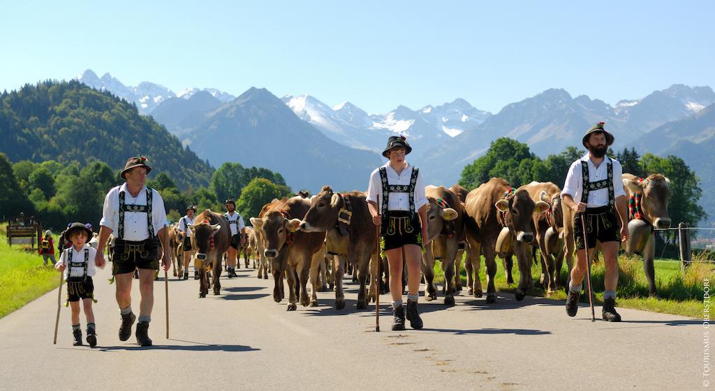 Hornblick Fewo- Ab Mai Freie Fahrt Mit Bergbahnen Oberstdorf Extérieur photo