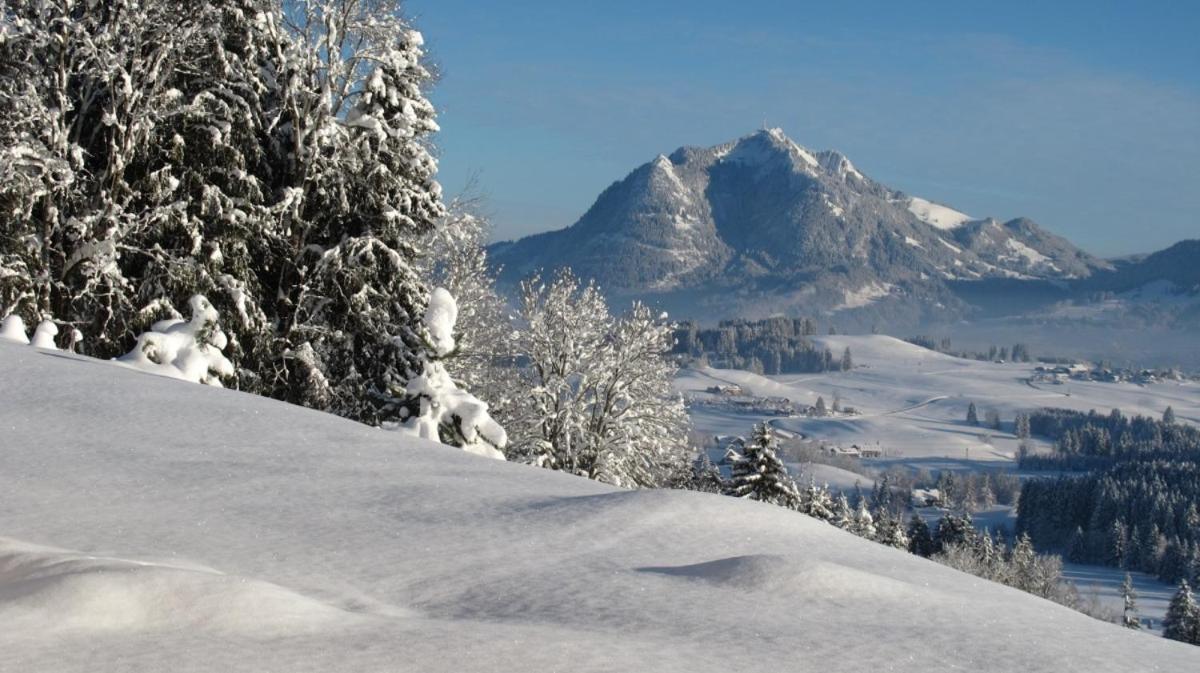 Hornblick Fewo- Ab Mai Freie Fahrt Mit Bergbahnen Oberstdorf Extérieur photo